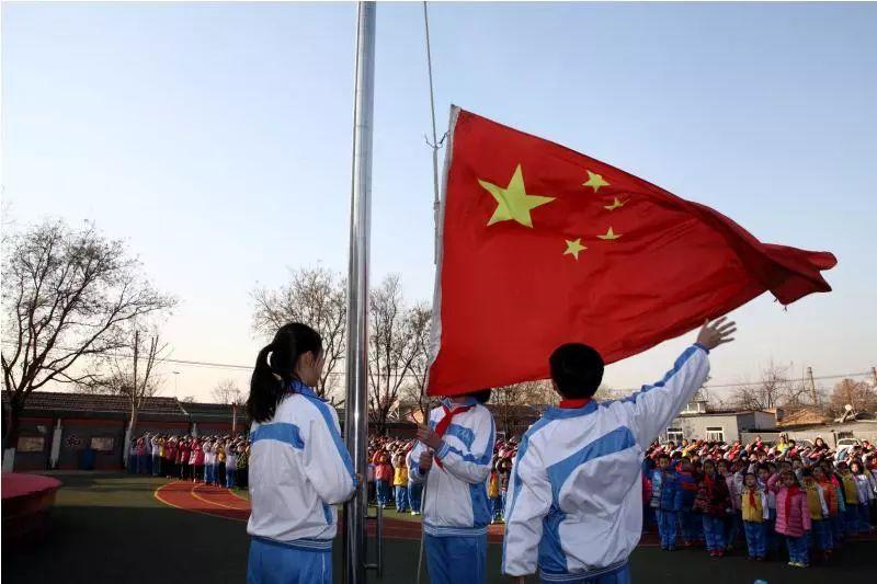 了解五味子是水果吗知识星球,提升你的学习能力
