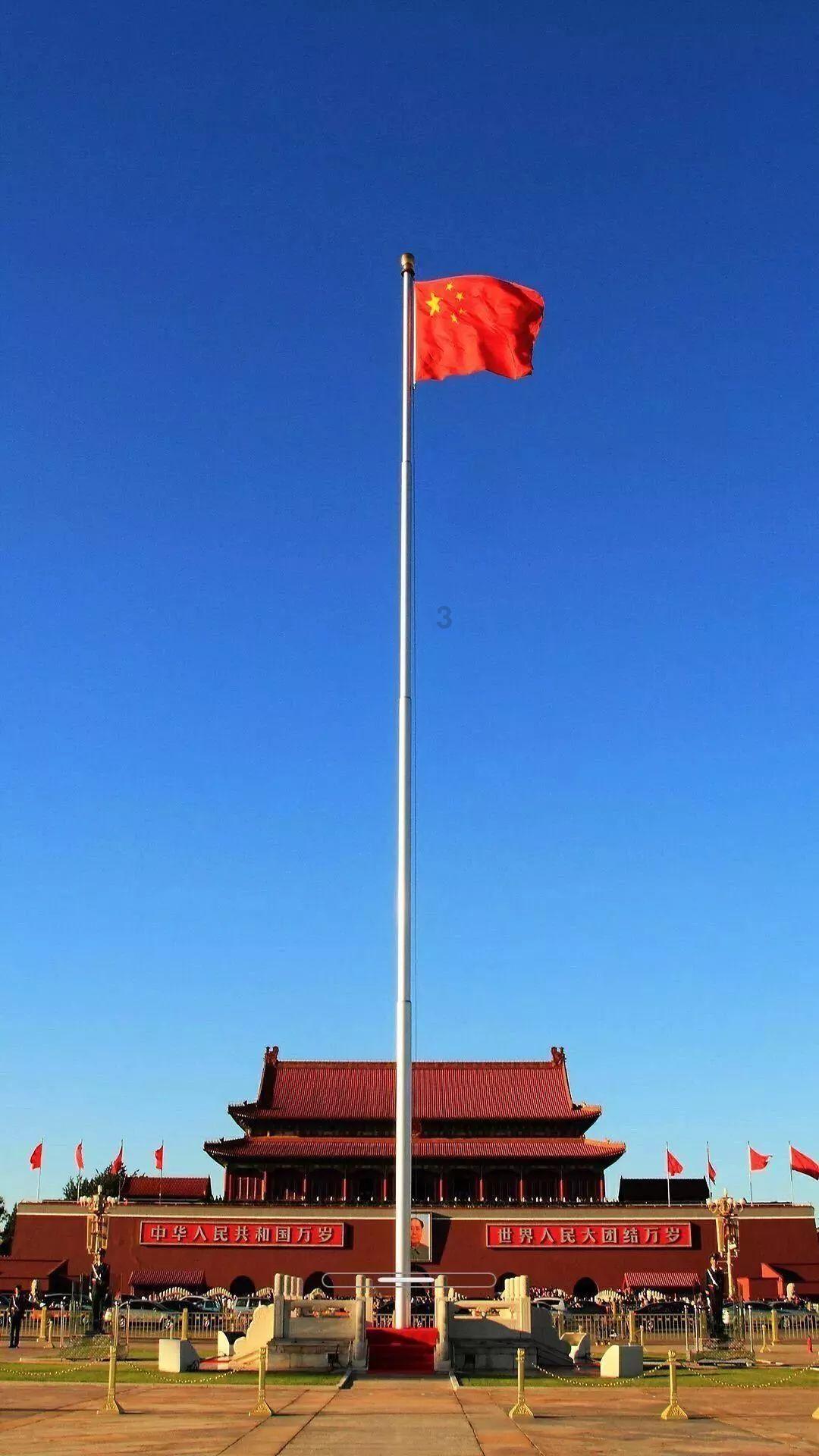 动物拼一拼